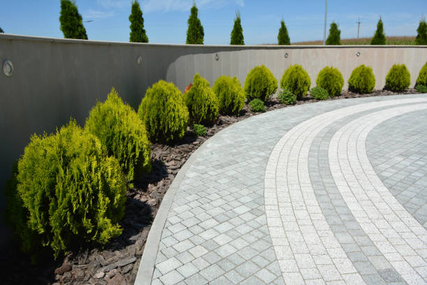 Best Driveway Repair Near Me  in Rapid City, SD